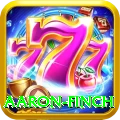 aaron finch Turbo v4.1.1