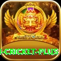 afghanistan cricket Casino King v5.3.2