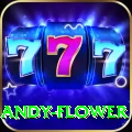 andy flower Turbo Pro v3.5.4