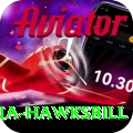 antigua hawksbill Apps (Tools & Injectors) Premium v4.9.8