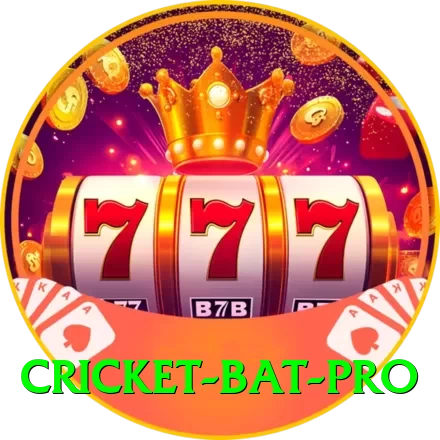 cricket bat Pakistan Max v2.2.9 - 2