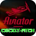 cricket pitch Apps (Tools & Injectors) Pro v5.9.6