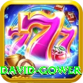 david gower Premium Plus v4.7.5