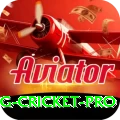 eng cricket Gaming Ultimate v5.1.5