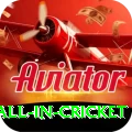 fastest ball in cricket Plus Edition v2.1.4
