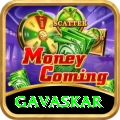 gavaskar Deluxe Edition v4.4.8