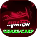 grass carp Apps (Tools & Injectors) Deluxe v4.1.5