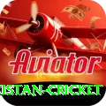 india pakistan cricket Max v3.9.2
