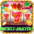 international cricket match Pro1 v3.8.7