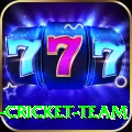 ireland cricket team Pro Edition v5.3.9