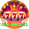 most test wickets Elite Pro v2.8.5