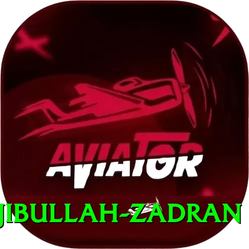 najibullah zadran Plus Edition v1.2.8 - 2