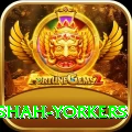 naseem shah yorkers Games (Casino & Earning) Plus v4.1.8