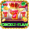 netherlands cricket team Pro Edition v2.3.7