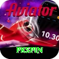 pkspin Premium v4.2.5