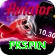 pkspin Premium v4.2.5