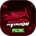 PKZZ Pro1 v4.8.2