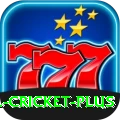 sl cricket Gaming Extreme v2.9.6