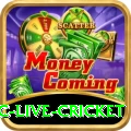 smartcric live cricket Plus Edition v1.4.3