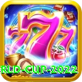 t 20 world cup 2022 Pro v3.2.2