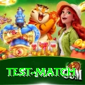 test match Turbo Pro v1.3.0