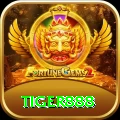 tiger888 VIP vv5.6.9