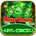 watch live cricket Pro1 v1.0.6