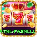 wayne parnell Games (Casino & Earning) VIP v4.3.7