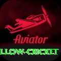 willow cricket Apps (Tools & Injectors) Turbo v1.5.8