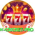 willow cricket Slot Machine Mega