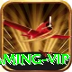z777 - Gaming VIP